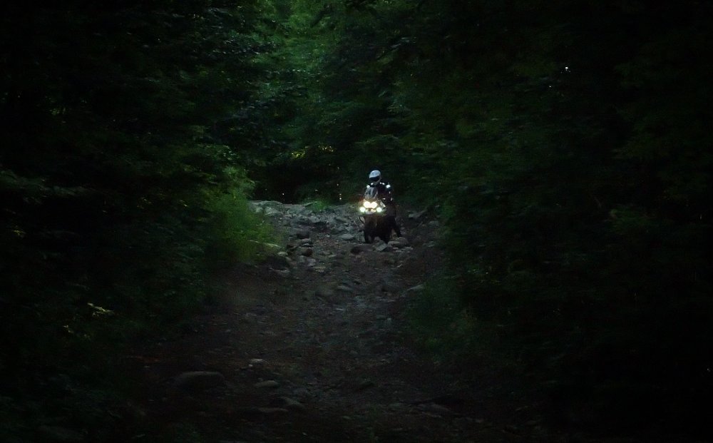 Spurgeon Dunbar Triumph Tiger 800 XCX