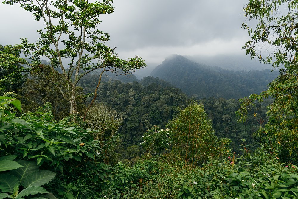 small town in Indonesia
