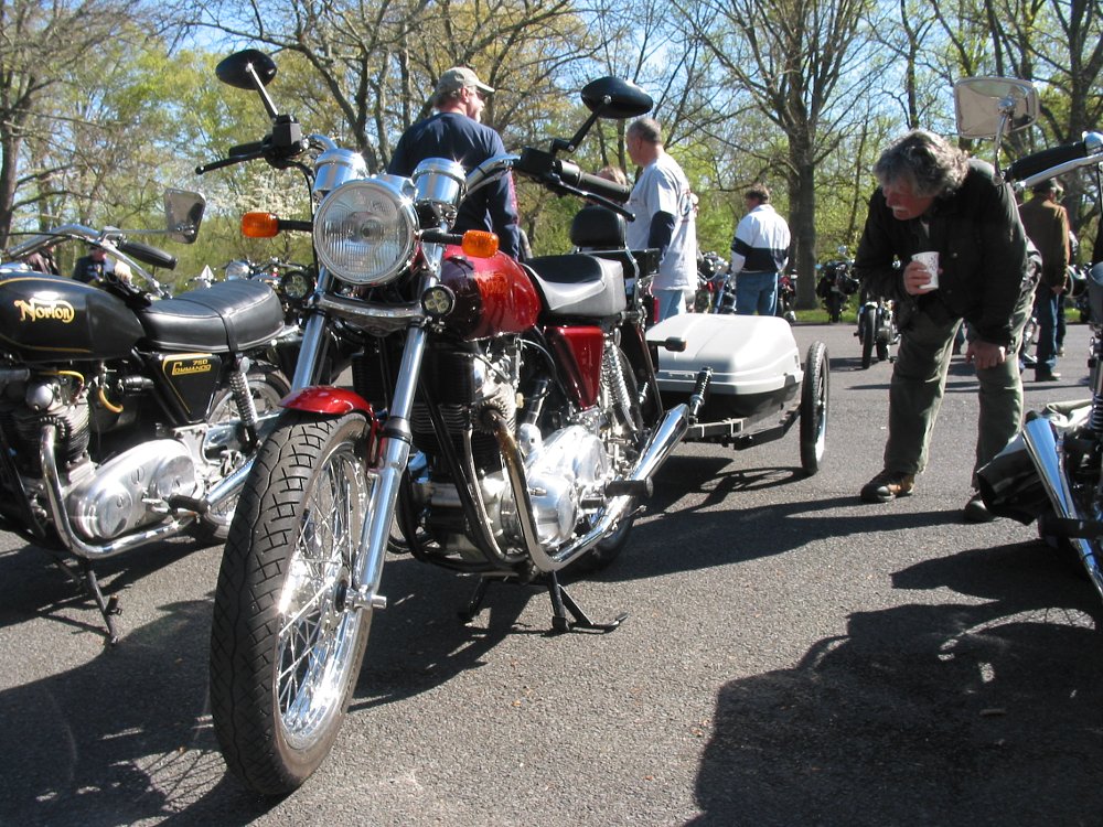 Gathering of the Nortons