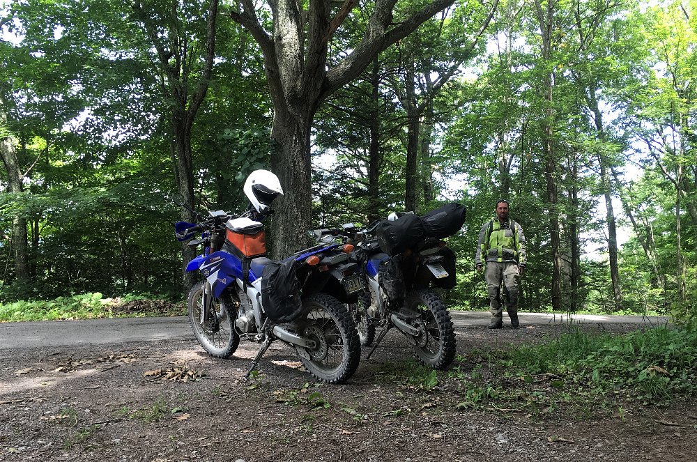 rest stop in the woods