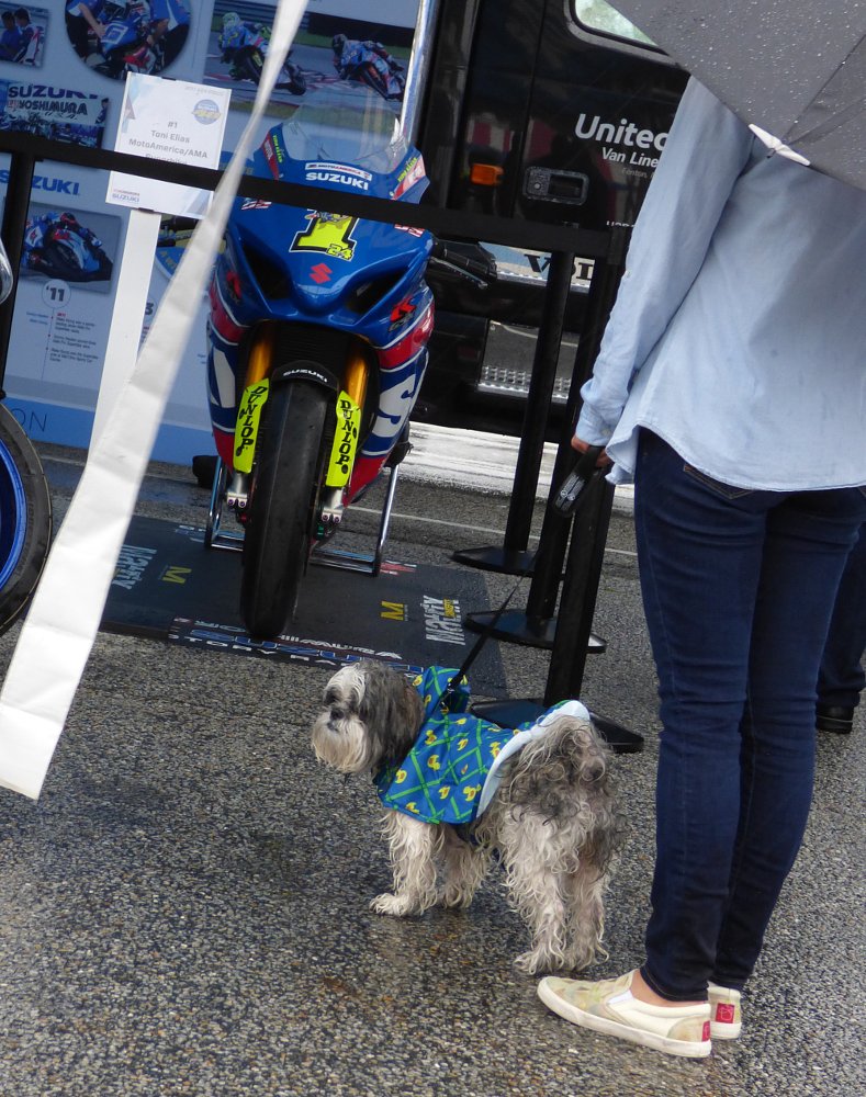 rain at Road Atlanta