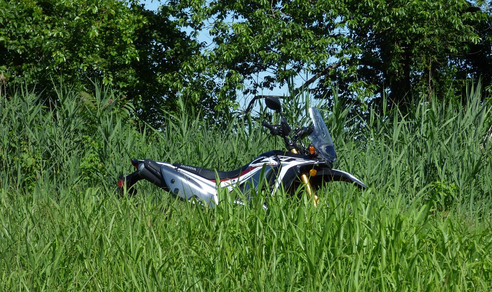 dual-sport in the country