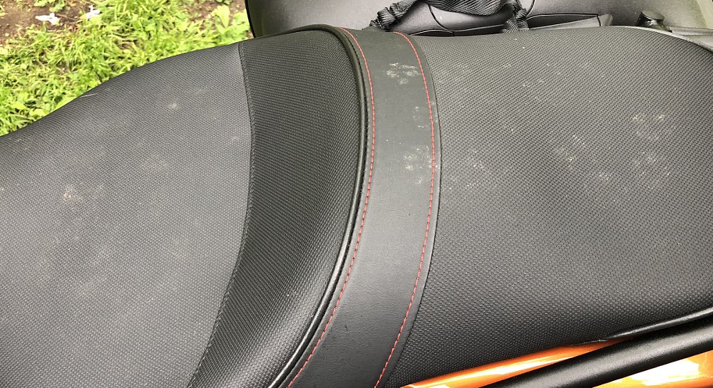 cat tracks on the Motus' seat