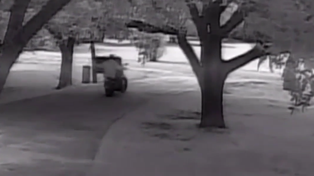 theives steal TV on motorcycle