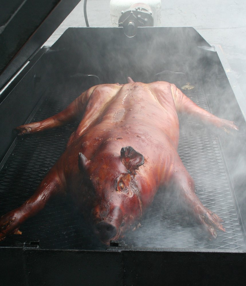 roast pig