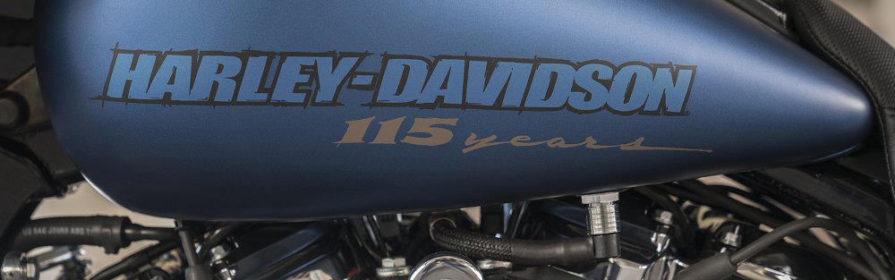 Harley-Davidson 115th birthday logo