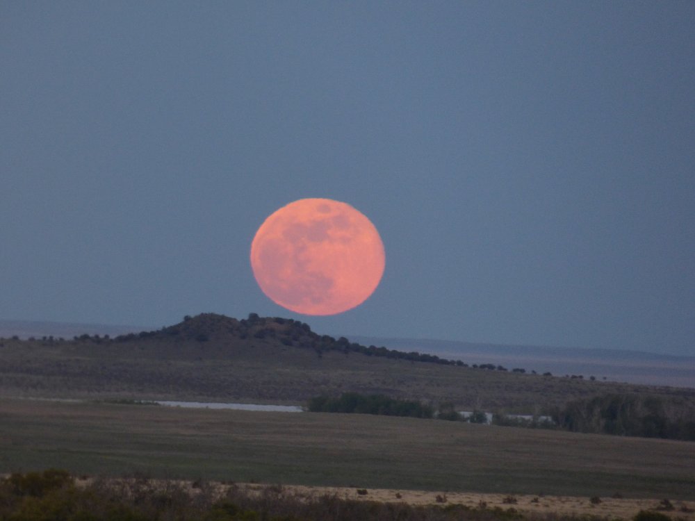moonrise in New Mexico