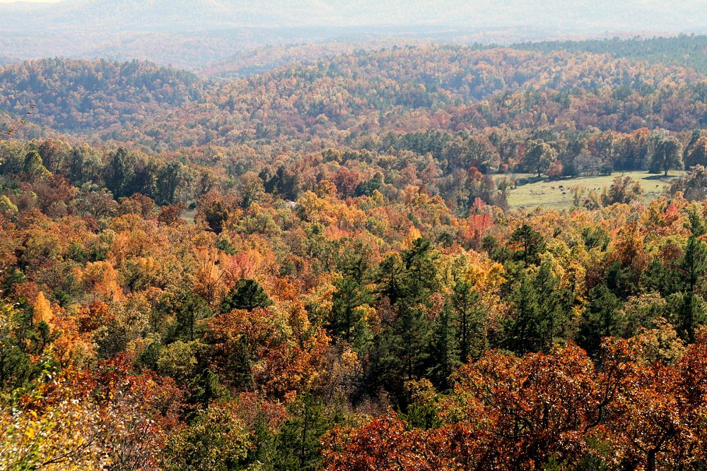 Arkansas fall view