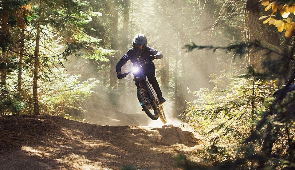 Segway electric bike