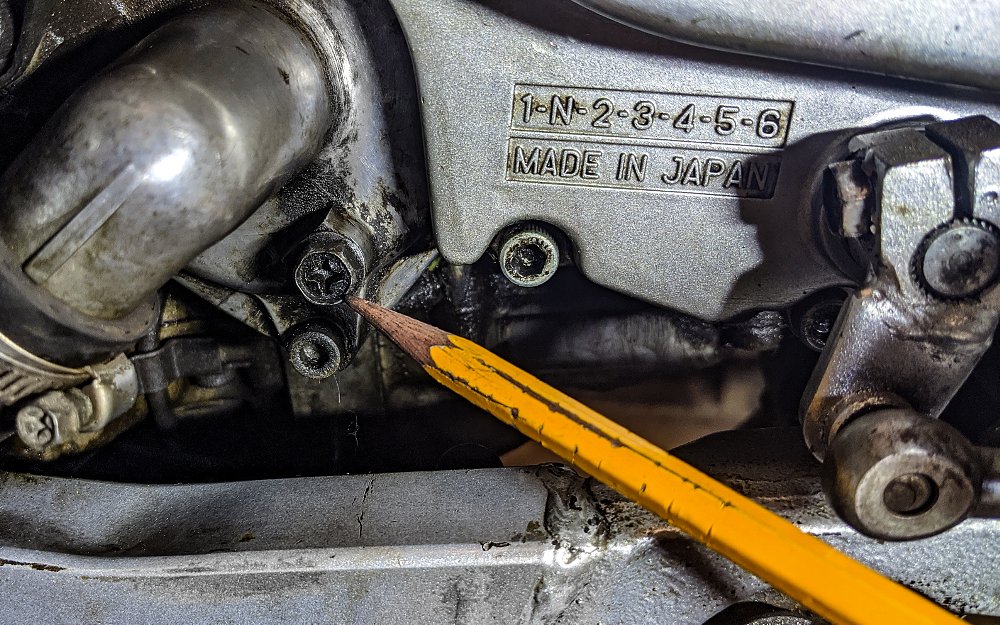 Motorcycle coolant drain bolt