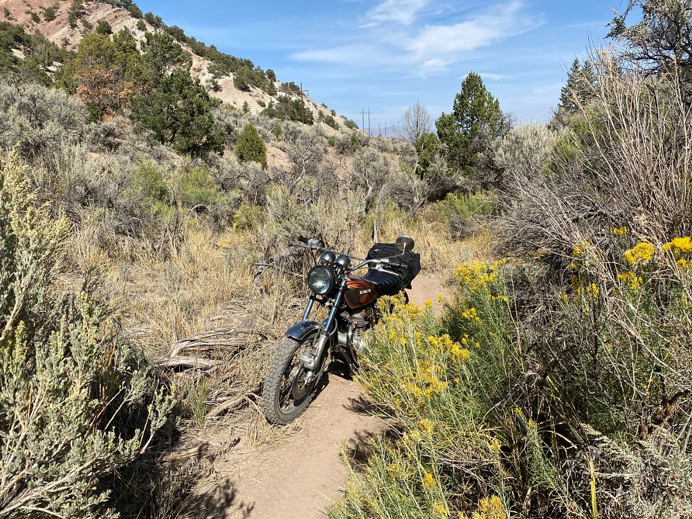 trail on Cottonwood Pass