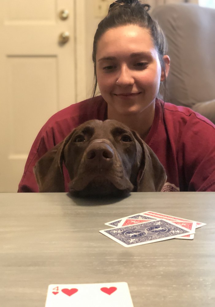 playing cards with Bailey