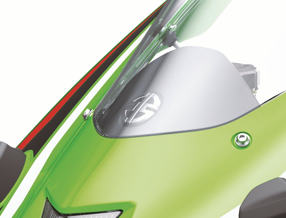 Kawasaki ZX-10R river mark