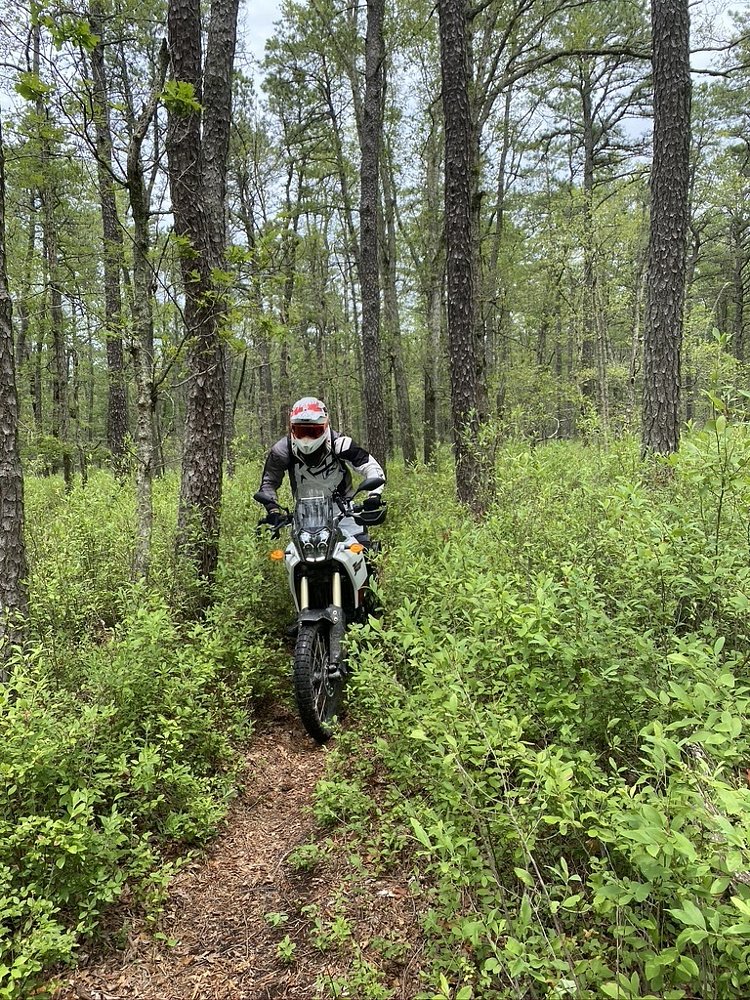 Brandon riding the T7 on single-track in the woods