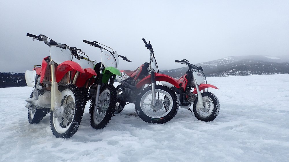 more join the ice racing party