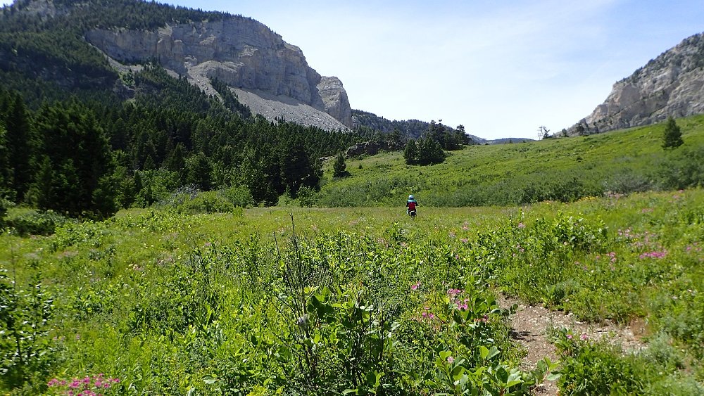 back country riding through a mountain valley meadow