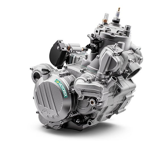 KTM's popular 300cc two stroke powerplant.