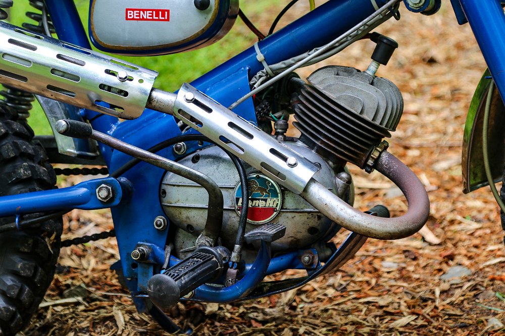 Benelli Dynamo 65 engine