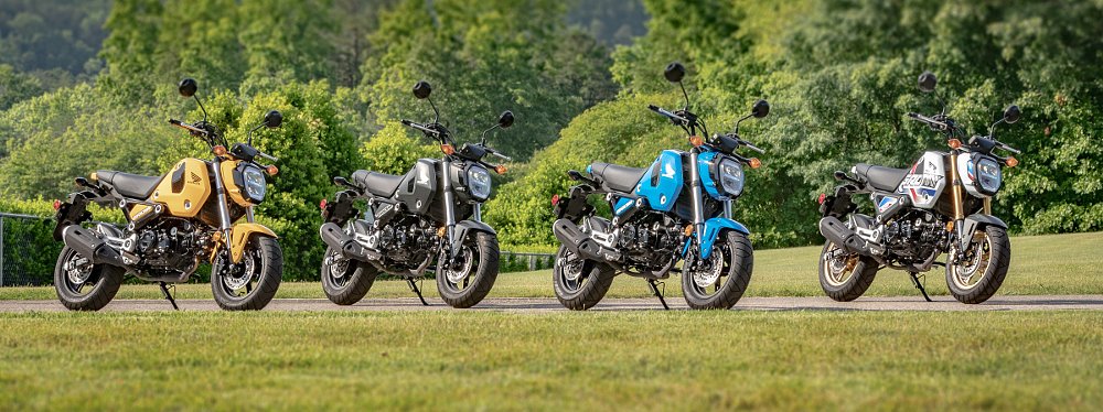 four colors of Groms for 2022