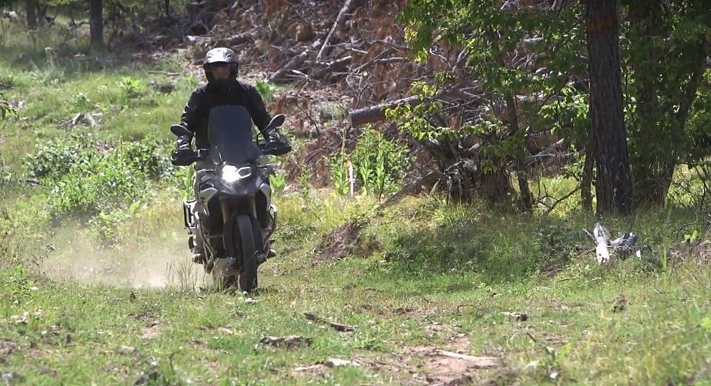 trail riding in the Black Hills