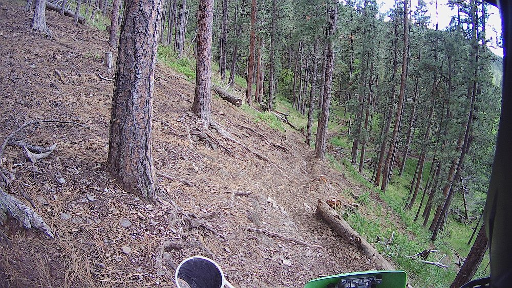 trail riding in the Black Hills