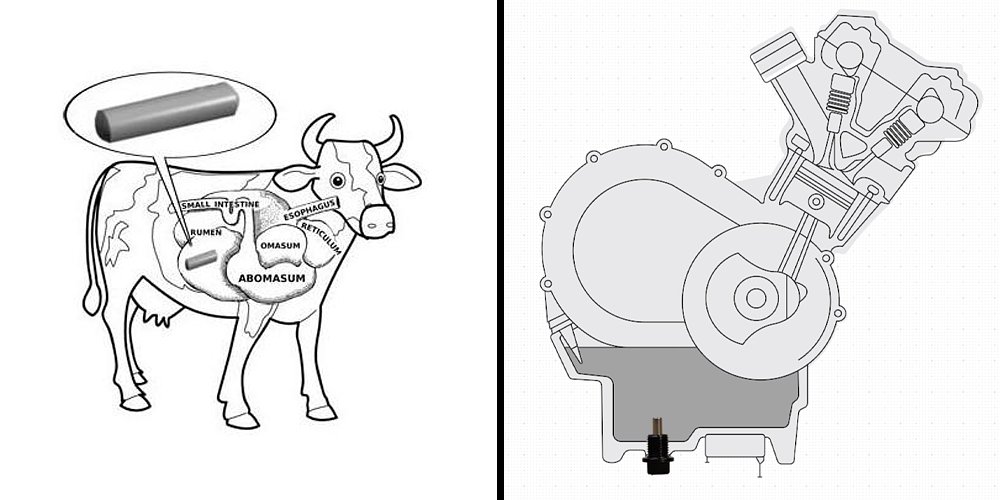 Cow magnets and magnetic drain bolts help protect cows and engines.