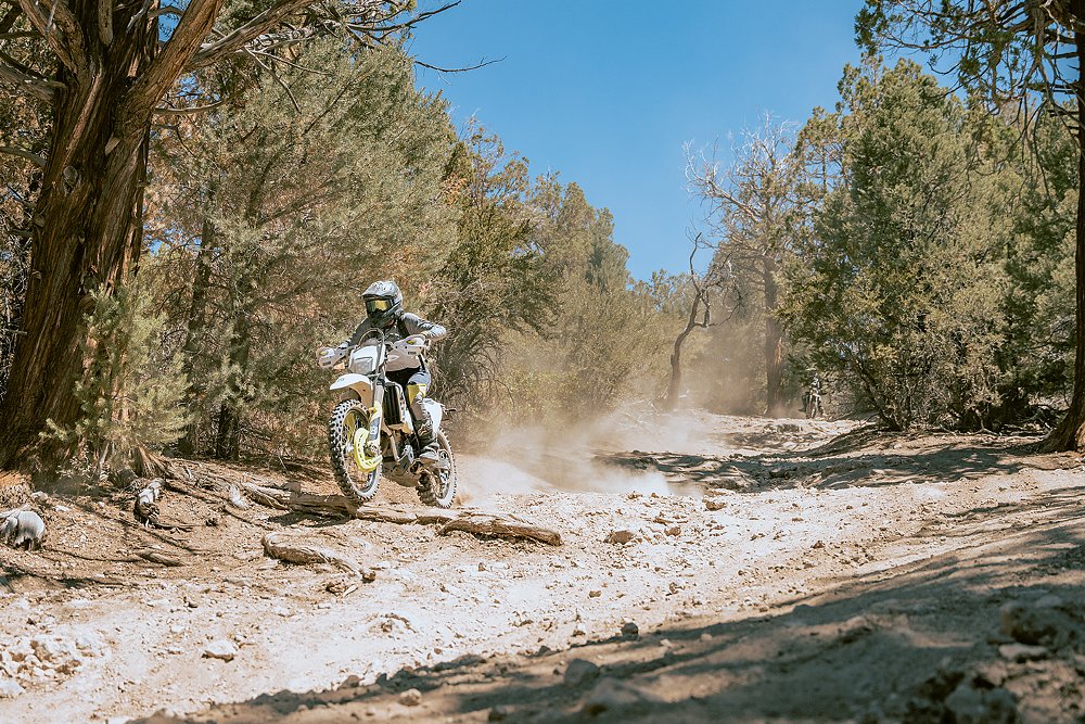 A female rider wheelies over a fallen log on the trail on board her motorcycle