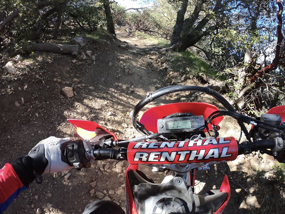 CRF450RL on singletrack trail. 