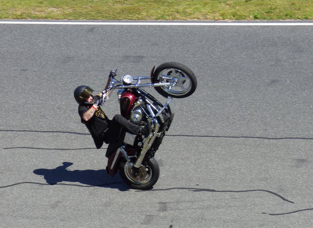 Harley rider doing a wheelie