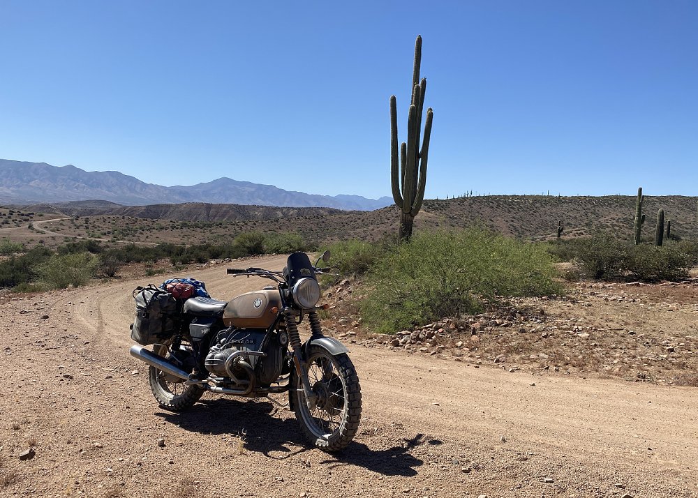 BMW parked by a saguaro cactus