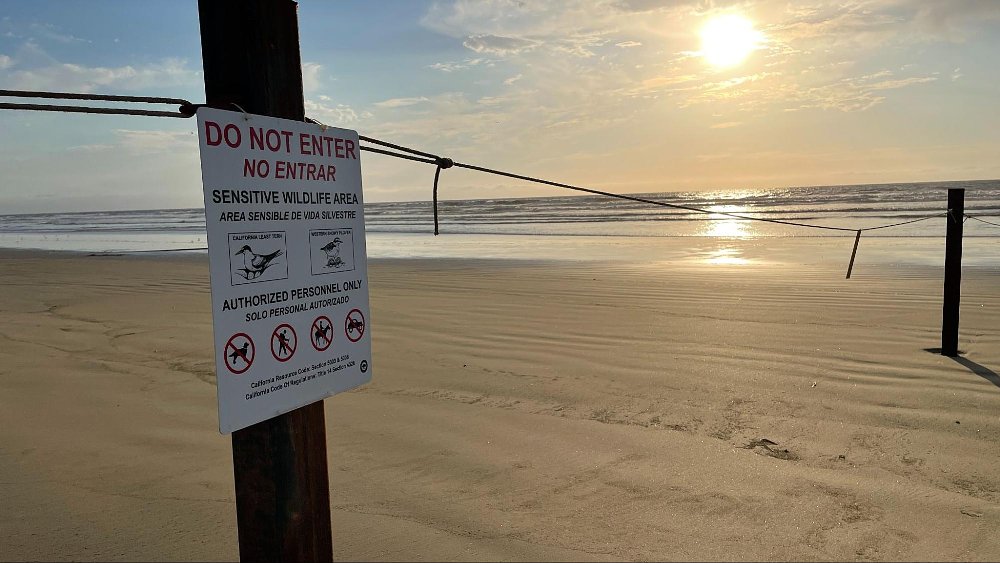 A photo of the signage on Oceano Dunes that says no trespassing for sensitive habitat
