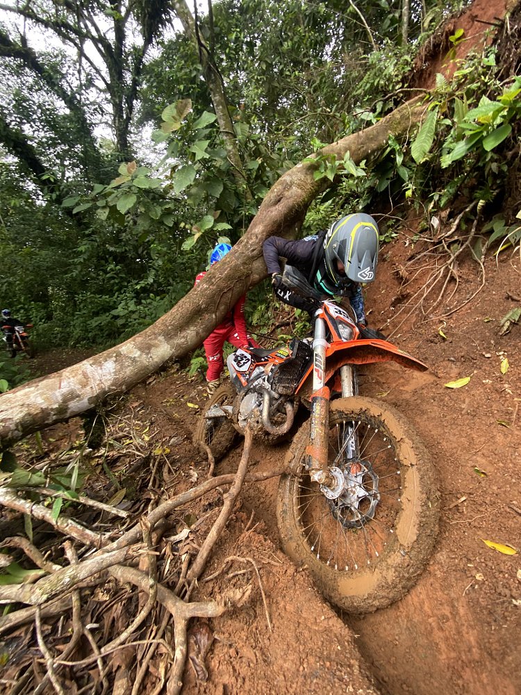 riding under a fallen tree on a muddy jungle trail