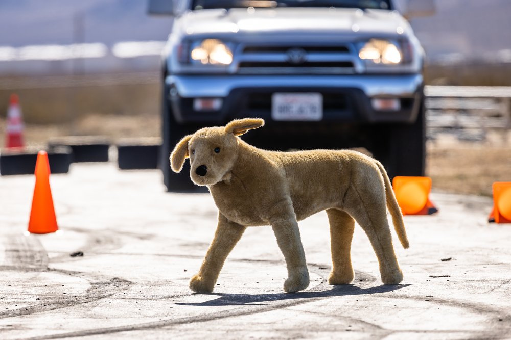 A stuffed cartoon dog sits in a parking lot in the sun, with a car in the background.