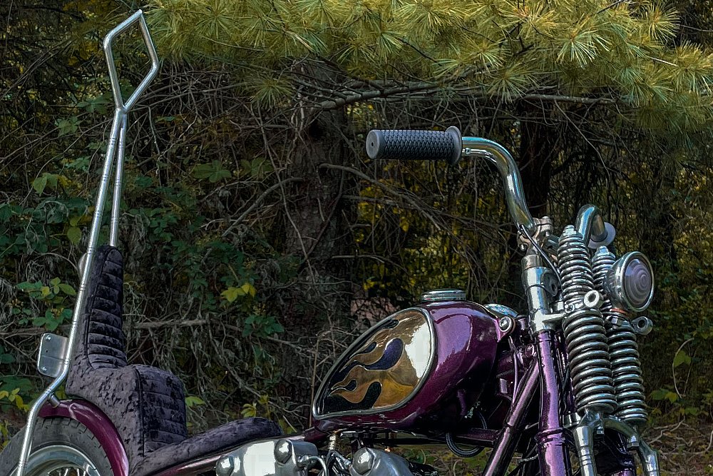 front view of the chopper