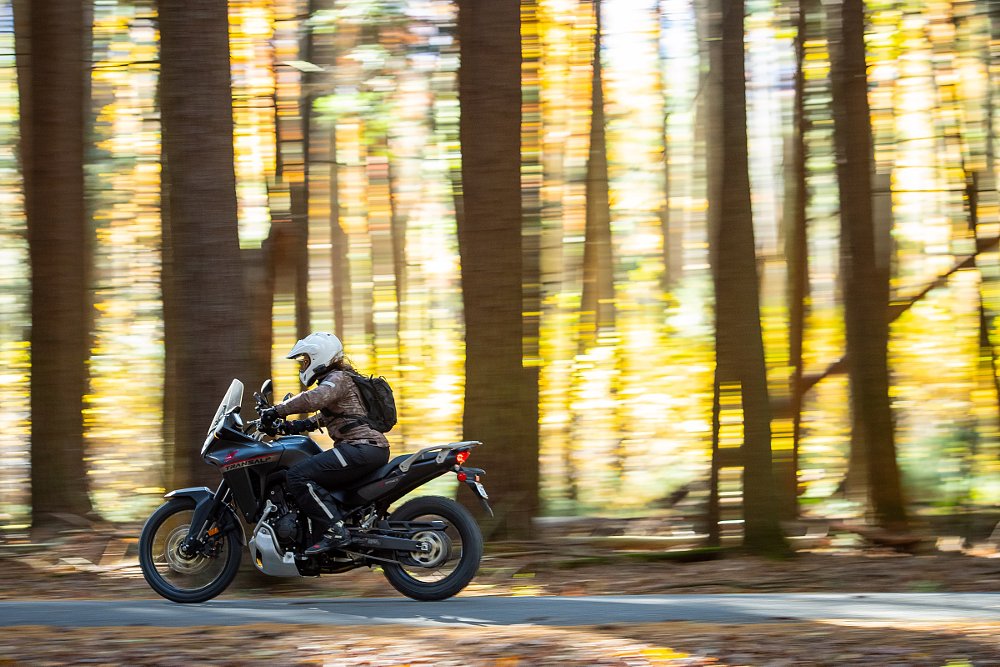 riding the Transalp through sunlit woods