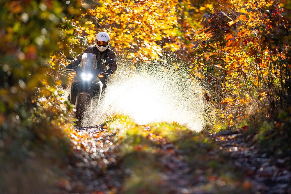 Honda XL750 Transalp riding through a puddle in the woods.