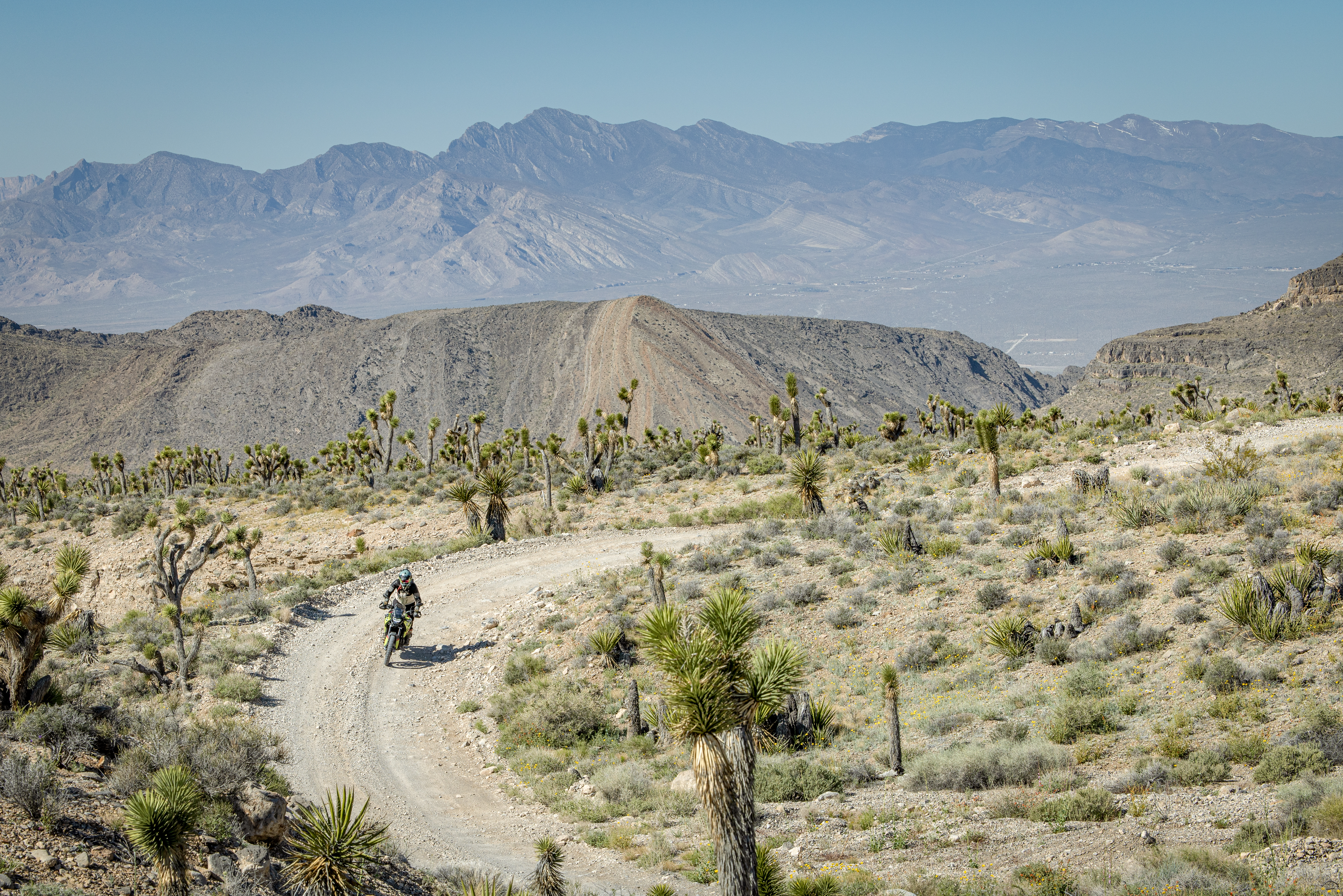 Common Tread BMW F 900 GS Motorcycle Review 