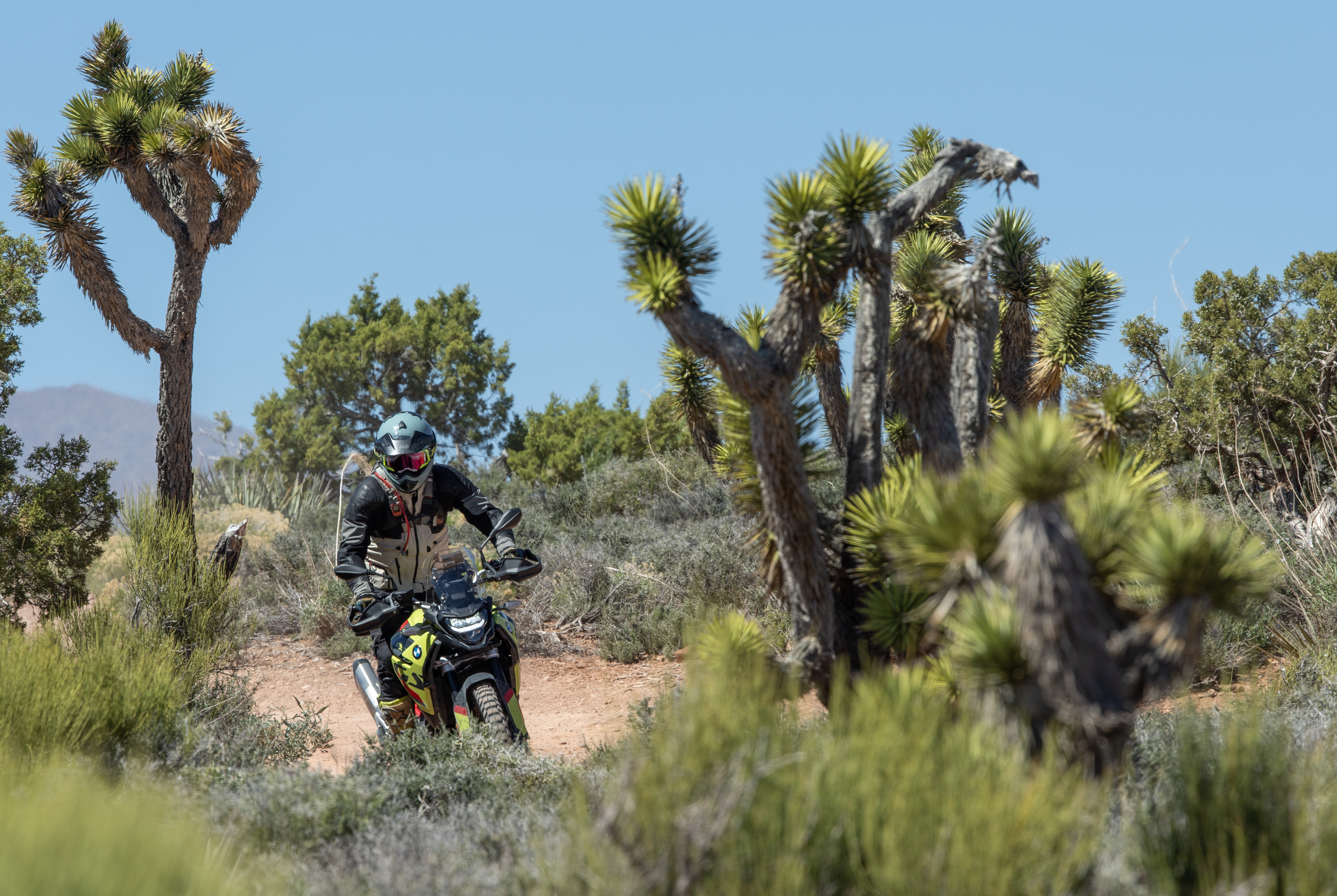 Common Tread BMW F 900 GS Motorcycle Review 