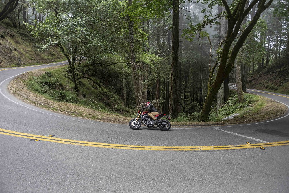 A 2024 Ducati Monster SP rides through a hairpin curve surrounded by trees.