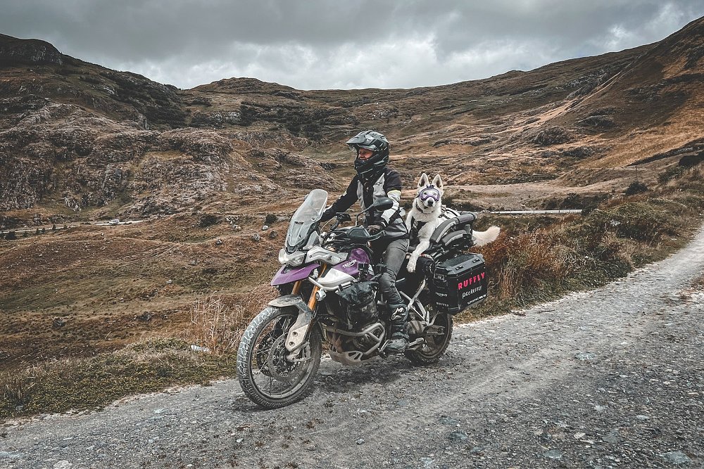 Jess Stone riders her Triumph Tiger 900 Rally Pro with her dog, Whimsy, perched on the back.