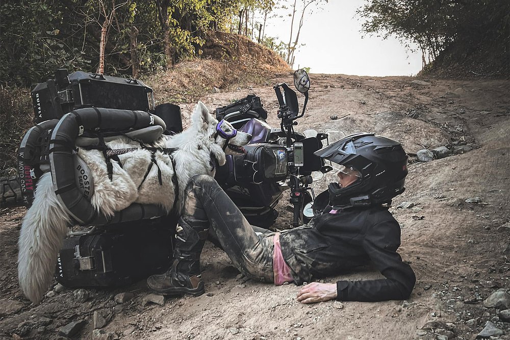 After tipping over her Triumph Tiger 900 Rally Pro, Jess checks on Whimsy, who's still safely latched in her K9 Cockpit.