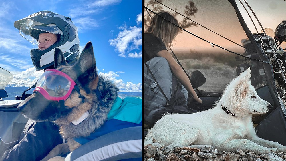 A picture of Jess and her late dog Moxie back-to-back with a photo of Jess with her current dog Whimsy.