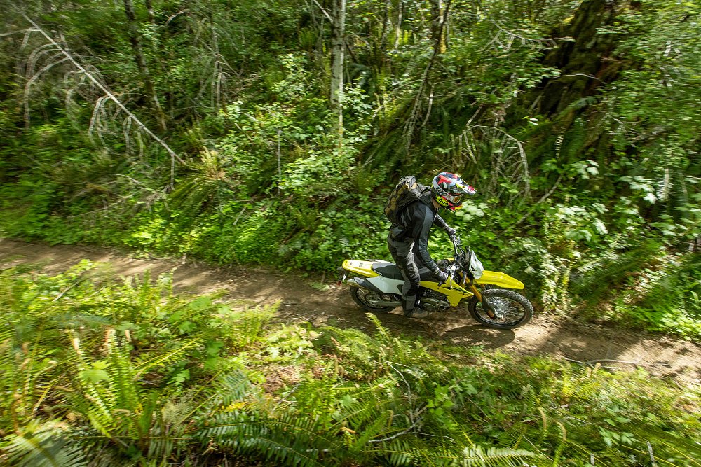 2025 Suzuki DR-Z4S riding along a single-track trail in a forest.