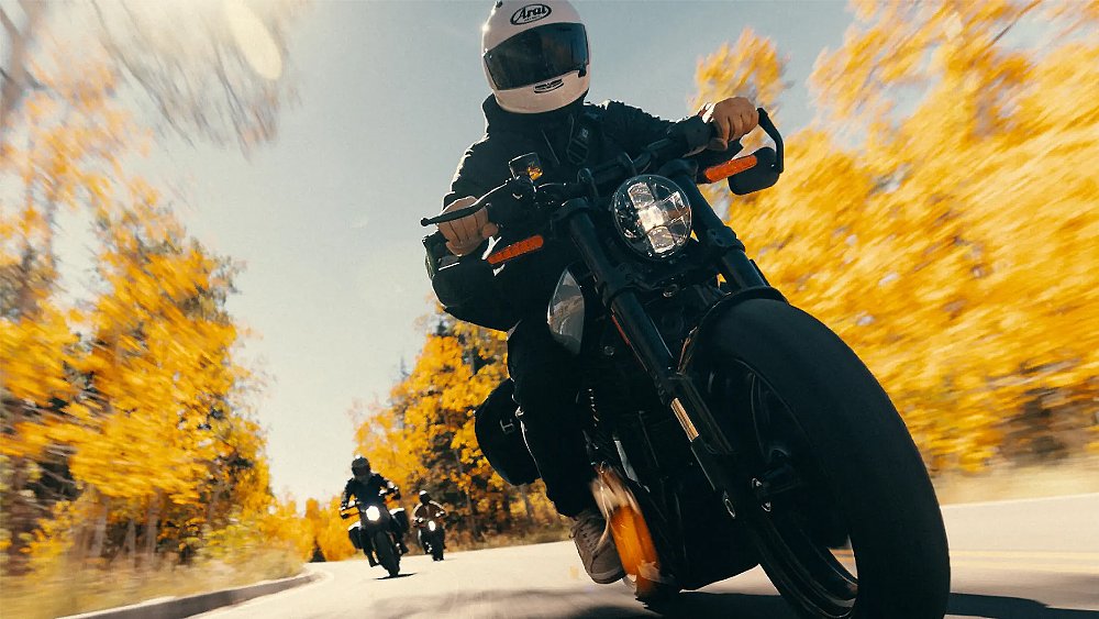 Three LiveWire S2 Alpinista riders travel down a road lined in autumnal birch trees.