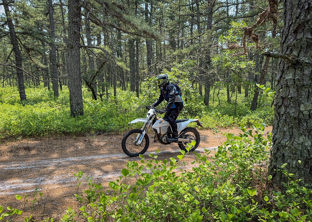 the author riding a white KTM dirt bike through the pine forest on a dirt two-track road