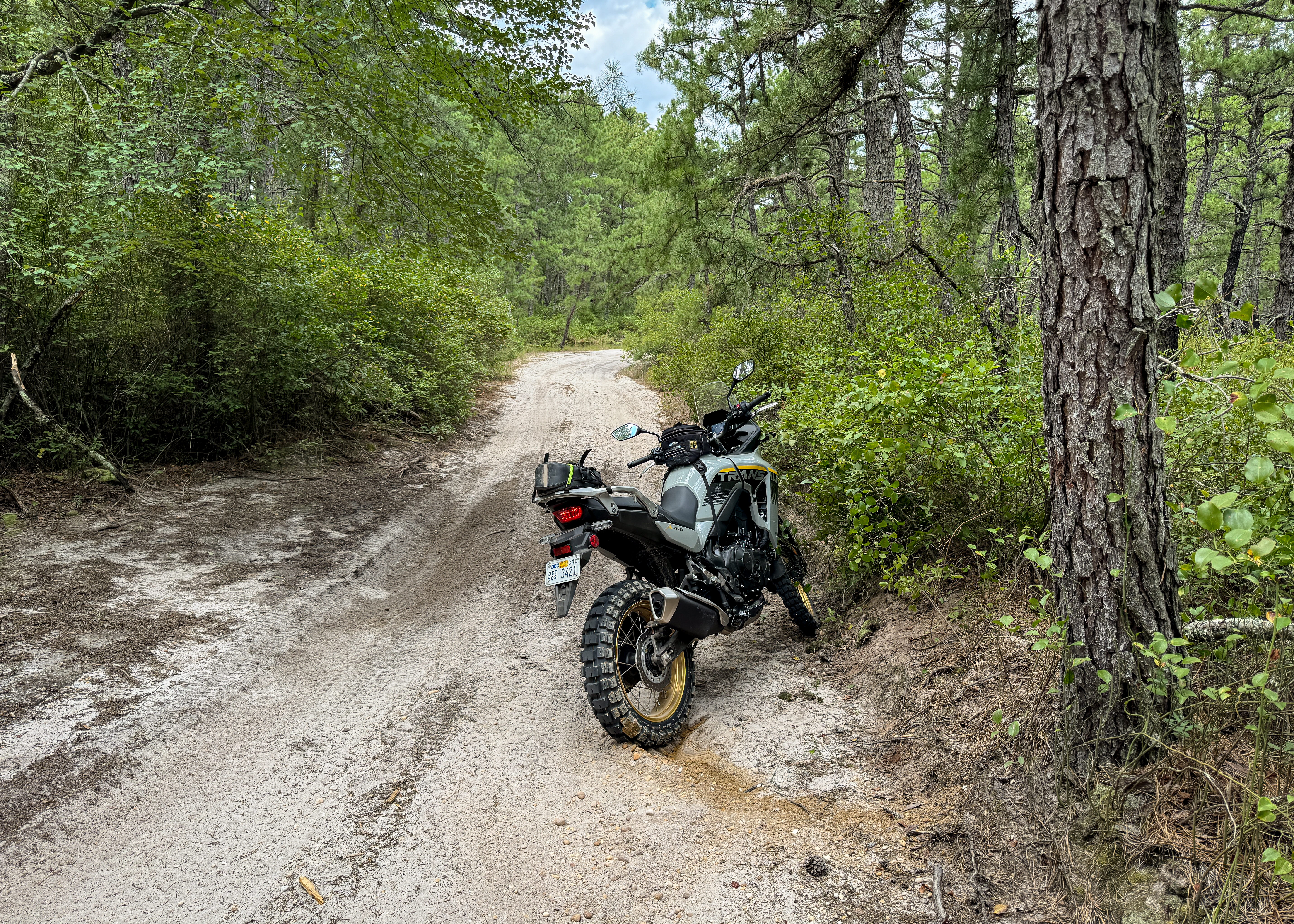 2025 Honda Transalp Off-Road Spurgeon Dunbar crash