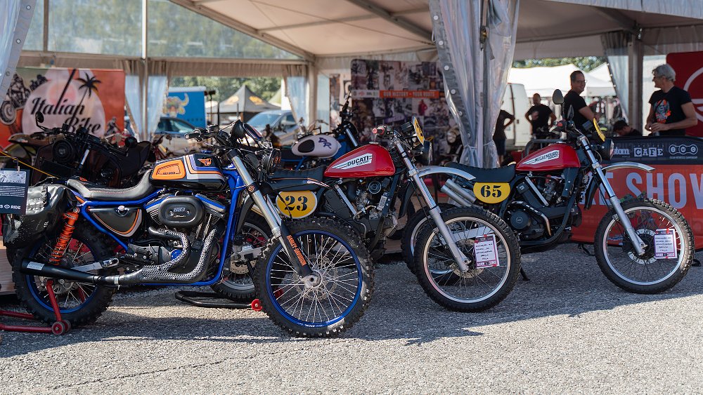 A custom Harley-Davidson Sportster scrambler staged next to two custom Ducati Scramblers.