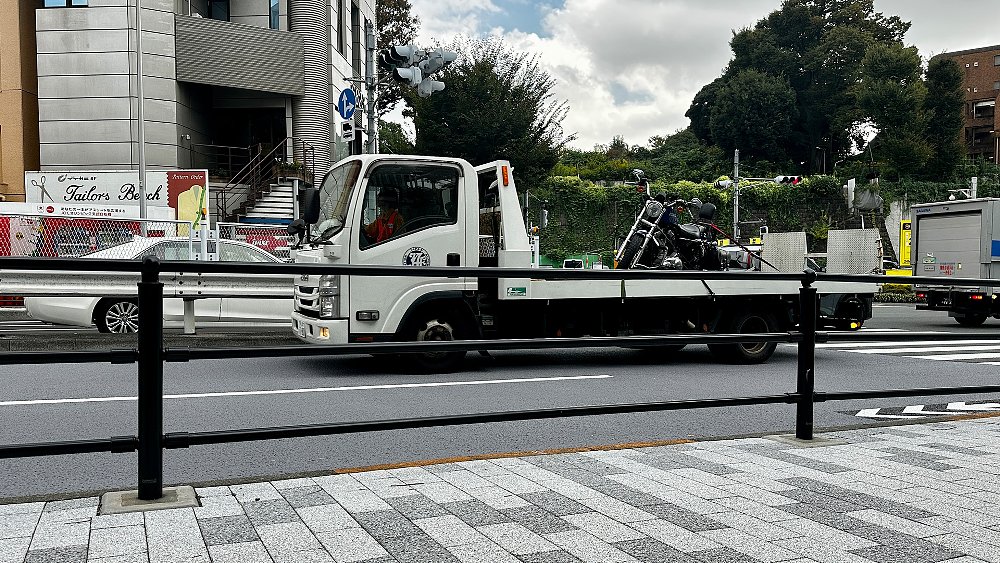 A close-up of Tokyo's sidewalk barriers with a flatbed truck passing in the background.